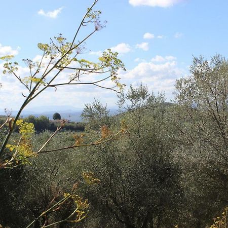 Country House Il Covo Della Civetta Barberino di Val dʼElsa Kültér fotó