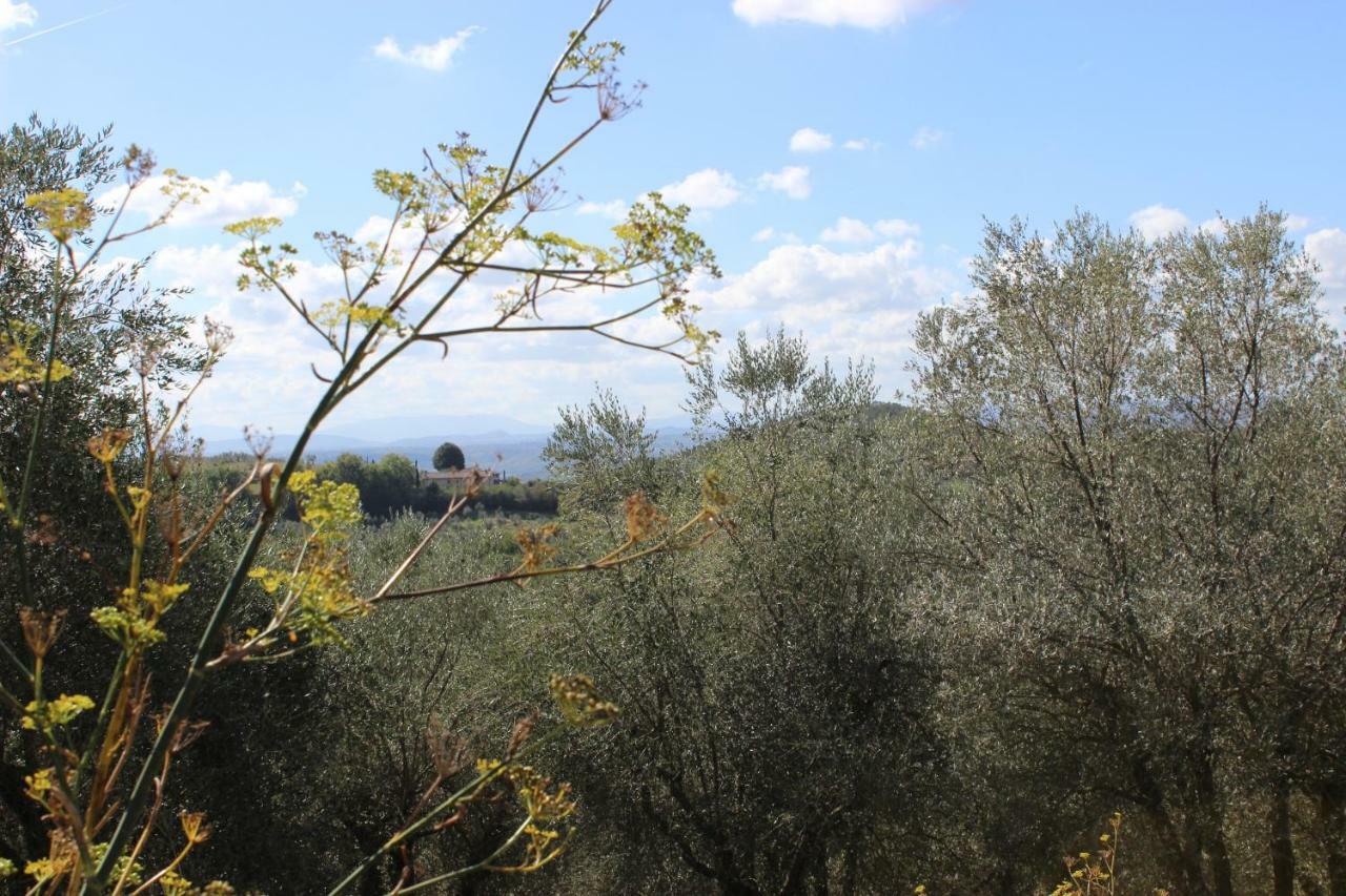 Country House Il Covo Della Civetta Barberino di Val dʼElsa Kültér fotó